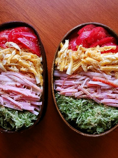 お弁当2020年7月17日-レシピのメイン写真