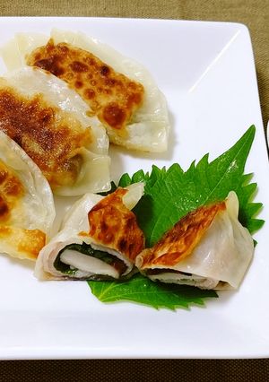 115(いいこ)の餃子-レシピのメイン写真