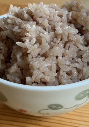 赤紫蘇で作る✨しそご飯 (ふりかけも!)-レシピのメイン写真