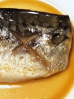 我が家のサバの味噌煮-レシピのメイン写真