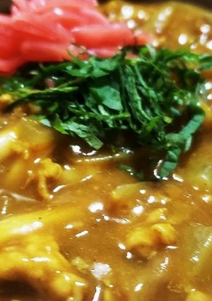 お年寄り絶賛シリーズ☆昔、カレーうどん☆-レシピのメイン写真