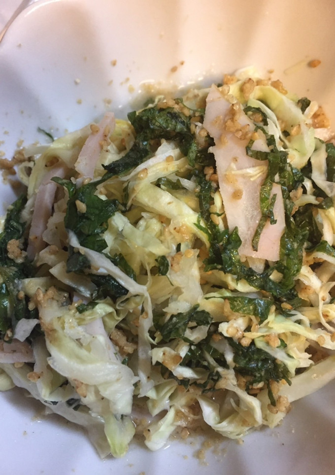 器１つでキャベツの酢の物-レシピのメイン写真