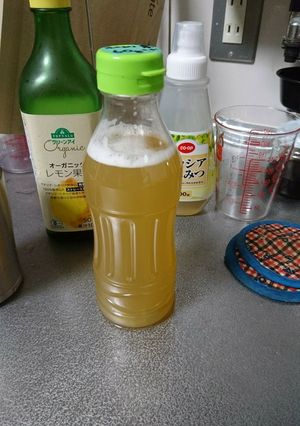 蜂蜜で手作りポカリの濃縮液。作り置き可-レシピのメイン写真