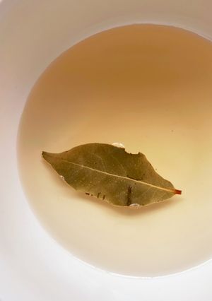いろいろ使える♪ひとてま屋基本のマリネ液-レシピのメイン写真