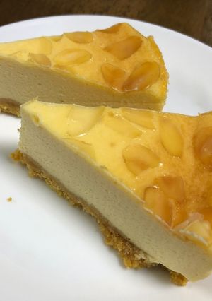 ひんやりチーズケーキ-レシピのメイン写真