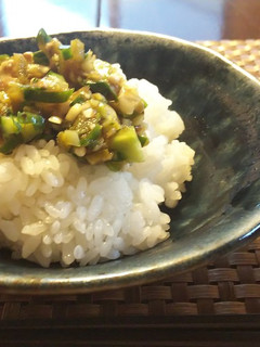 山形だし風?夏野菜で白米冷奴のお供-レシピのメイン写真