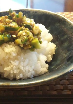山形だし風？夏野菜で白米冷奴のお供-レシピのメイン写真