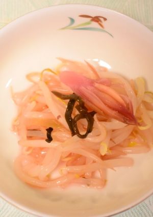 塩昆布とモヤシの梅酢あえ-レシピのメイン写真