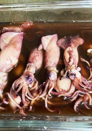 あっさり、ひいかの煮つけ-レシピのメイン写真
