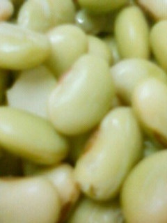 無難でおいしいほくほくの茹で大豆♡-レシピのメイン写真