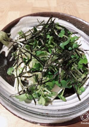 梅酢で！海苔とかいわれの冷奴-レシピのメイン写真