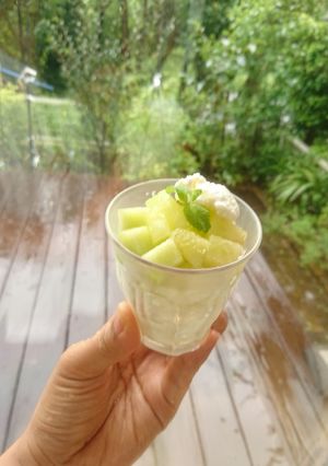 簡単美味しいメロンのジェラート✨-レシピのメイン写真