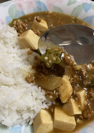 オクラと豆腐のカレー-レシピのメイン写真