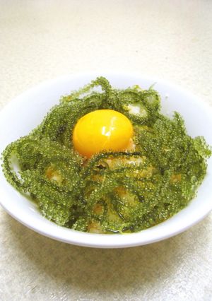 すぐできる！海ぶどう丼♪-レシピのメイン写真