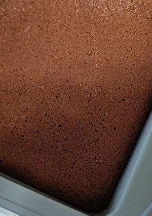 ガトーショコラ-レシピのメイン写真