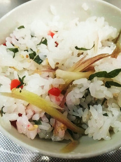 シソ 茗荷 梅ご飯-レシピのメイン写真