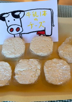 てづくりチーズ-レシピのメイン写真