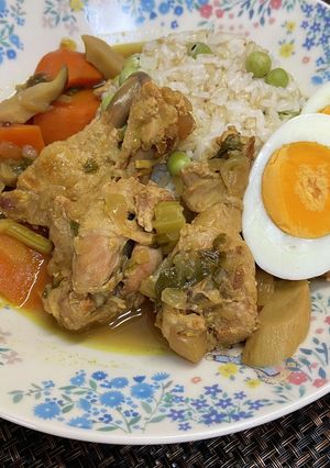 《圧力鍋》ごろっと野菜のスープカレー-レシピのメイン写真