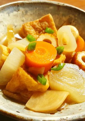 厚揚げ、野菜、発酵蕪(すぐき風)の煮物-レシピのメイン写真