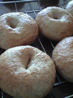 米粉☆全粒粉☆トレハで簡単ベーグル♪-レシピのメイン写真