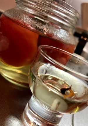 はじめてのトマト酒-レシピのメイン写真