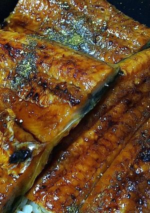 うな丼-レシピのメイン写真