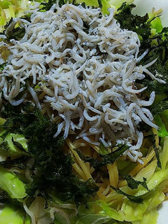 しらすとキャベツのバター醤油パスタ-レシピのメイン写真