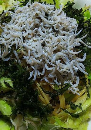 しらすとキャベツのバター醤油パスタ-レシピのメイン写真