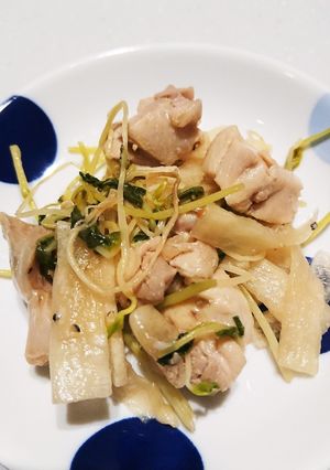 鶏と大根・豆苗のオイスターポン酢和え-レシピのメイン写真