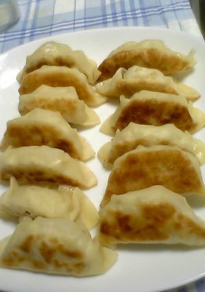 ヘルシー豆腐餃子-レシピのメイン写真