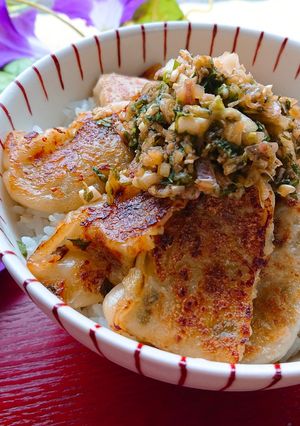 餃子丼-レシピのメイン写真