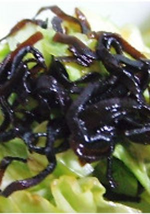 キャベツの昆布和え-レシピのメイン写真