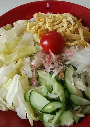 冷しラーメン-レシピのメイン写真