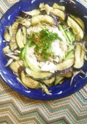 ゆで鶏胸肉と茄子胡瓜の冷やし鉢-レシピのメイン写真