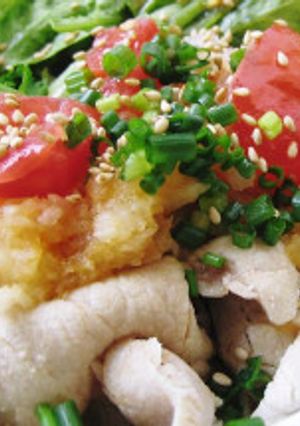 冷しゃぶ丼-レシピのメイン写真