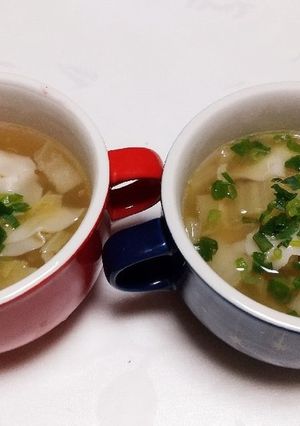 簡単すぎる餃子スープ。-レシピのメイン写真