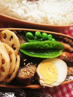 お弁当★スナップエンドウ★レンチン蒸し-レシピのメイン写真