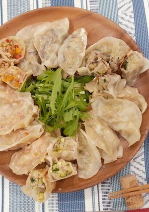野菜たっぷりギョーザ-レシピのメイン写真