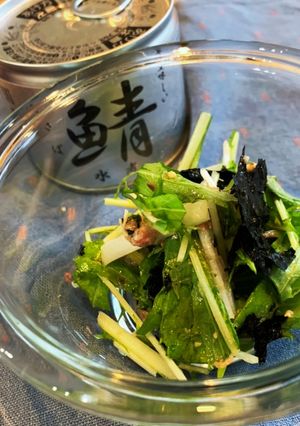 ドレッシング不要！サバと水菜のサラダ-レシピのメイン写真