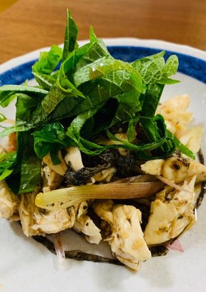 お酢でサッパリ！ささみ梅の香味野菜サラダ-レシピのメイン写真