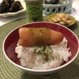 新しい食べ方!明太子ジェノベーゼソース