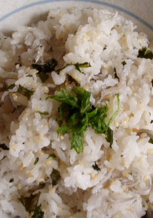 ヘルシー！大葉とじゃこの混ぜご飯！-レシピのメイン写真