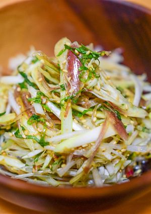 【薬味が主役！】みょうがと葱の薬味サラダ-レシピのメイン写真