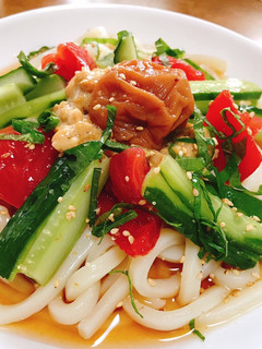 さっぱり冷やしうどん-レシピのメイン写真