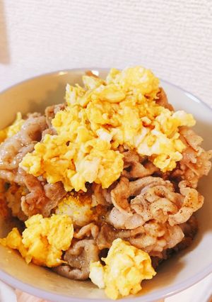 10分で!楽うま肉玉ライス-レシピのメイン写真