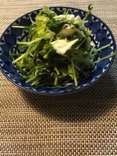 豆苗とキャベツのサラダ-レシピのメイン写真