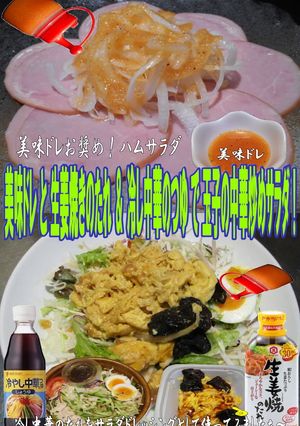 美味ドレと生姜焼冷し中華で中華炒めサラダ-レシピのメイン写真