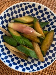 きゅうりとミョウガの炒め物-レシピのメイン写真