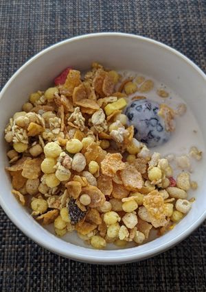 豆乳をヨーグルトぽくして食べるグラノーラ-レシピのメイン写真