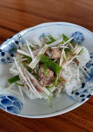 チョーサッパリ、❗鯖水煮丼(ネギ塩)-レシピのメイン写真